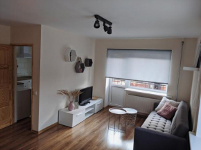 Niedru apartamenti in Libau